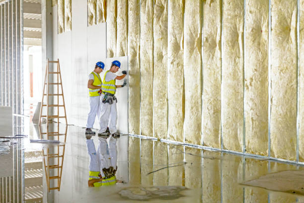 Types of Insulation We Offer in Maury, NC